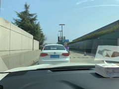 -迪士尼乐园停车场