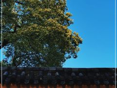 -涂山寺素食餐厅