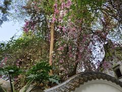 -深圳国际园林花卉博览园