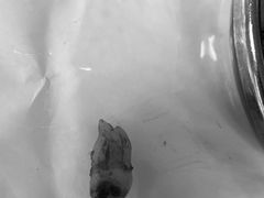 -浙江大学医学院附属口腔医院湖滨（延安）院区