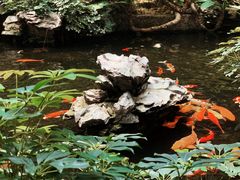 -白天鹅宾馆-宏图府餐厅