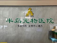 -半岛宠物医院24小时(科华中路店)