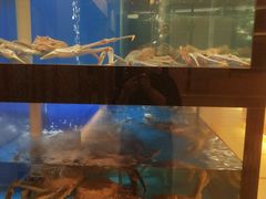 -皇品田苑日式料理(苏州中心店)