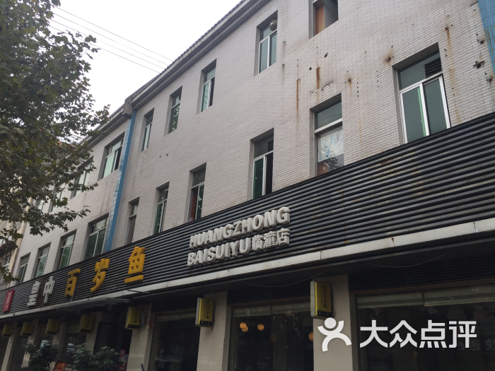 皇中百岁鱼(临潼店)图片 第12张