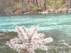 -叠溪松坪沟景区