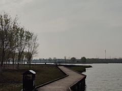 -西青郊野公园