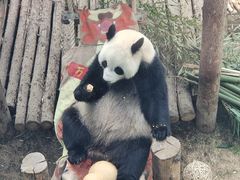 -大连森林动物园