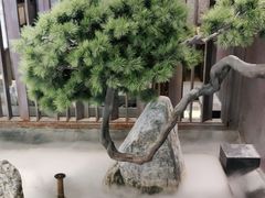 -湊湊火锅·茶憩(郑州绿地新都会店)