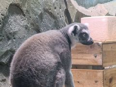 -洛阳龙门海洋馆