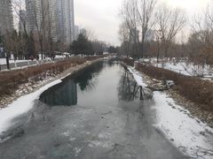 -长白岛森林公园