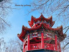 -哈尔滨极乐寺