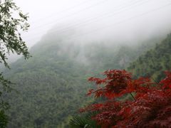 -长谷洞天