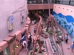 -陕西自然博物馆