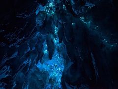 -怀托摩萤火虫洞