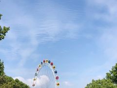 -上海野生动物园