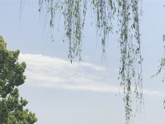 -柳莺湖上·湖景餐厅·江南菜(西湖店)