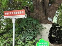 -广元千佛崖