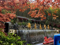 -宁波浙东大竹海景区