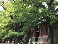 -晋祠公园