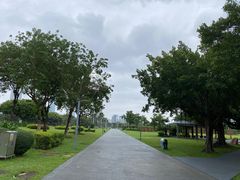 -万绿园