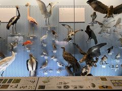 -浙江自然博物院(杭州馆)