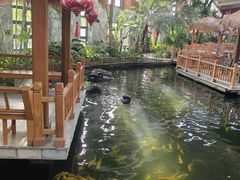 -南宫五洲植物乐园