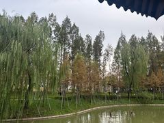 -江心屿景区