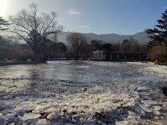 -国家植物园南园