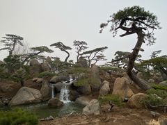 -罗红摄影艺术馆