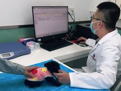 -欧奕国际动物医院