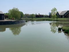 -西安浐灞国家湿地公园