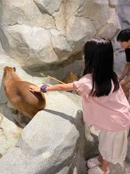 -Zoolung Zoolung动物主题公园(海信广场店)