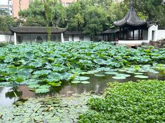 -墅园
