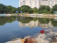 -会江钓鱼钓虾烧烤场