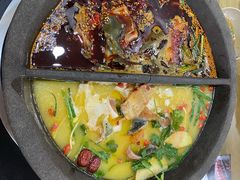 -秦巴石锅鱼