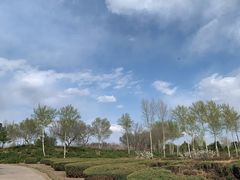 -通辽森林公园