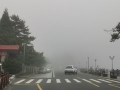 -庐山风景区花径公园