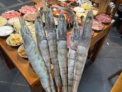 -阳阳老火锅(小南门店)