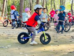 -北京梧桐树双语幼儿园