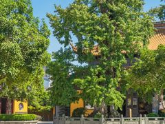 -圆通寺