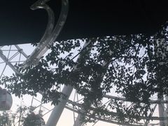 -杭州乐园