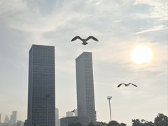 -东港音乐喷泉广场