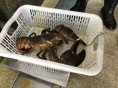 -蚝专家(北滘店)