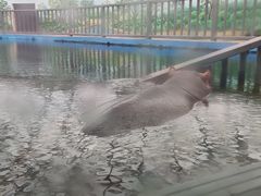 -太原动物园