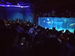 -台州海洋世界