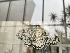 -上海自然博物馆