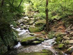 -丹东天桥沟景区