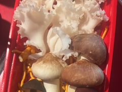 -小龙坎火锅(全球旗舰店)