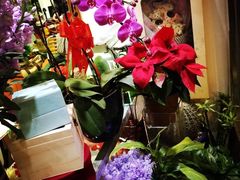 菲菲鲜花店-FEI FEI FLOWER鲜花店·气球派对·宝宝宴布置(虹口德必运动Loft店)