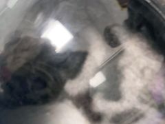 -宠福鑫康馨动物医院·骨科·眼科